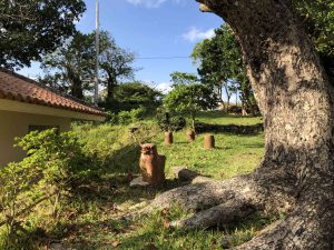 November 8, 2019 - (6) Ishigaki - Kabira Bay - 29 of 31
