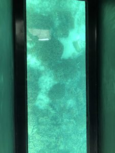 November 8, 2019 - (6) Ishigaki - Kabira Bay - 4 of 31