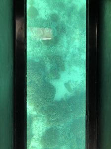 November 8, 2019 - (6) Ishigaki - Kabira Bay - 5 of 31