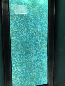 November 8, 2019 - (6) Ishigaki - Kabira Bay - 6 of 31
