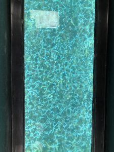 November 8, 2019 - (6) Ishigaki - Kabira Bay - 7 of 31