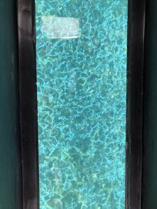 November 8, 2019 - (6) Ishigaki - Kabira Bay - 8 of 31