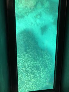 November 8, 2019 - (6) Ishigaki - Kabira Bay - 9 of 31
