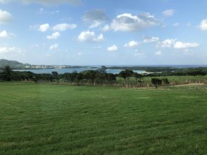 November 8, 2019 - (7) Ishigaki - Yonehara Palm Grove - 1 of 18