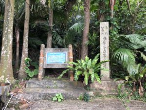 November 8, 2019 - (7) Ishigaki - Yonehara Palm Grove - 15 of 18