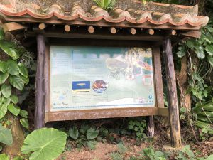 November 8, 2019 - (7) Ishigaki - Yonehara Palm Grove - 16 of 18