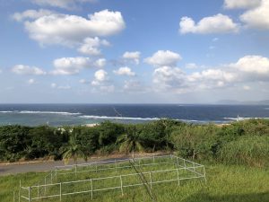 November 8, 2019 - (7) Ishigaki - Yonehara Palm Grove - 2 of 18