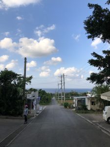 November 8, 2019 - (7) Ishigaki - Yonehara Palm Grove - 26 of 18