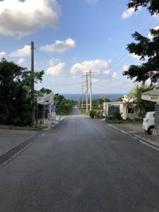 November 8, 2019 - (7) Ishigaki - Yonehara Palm Grove - 27 of 18