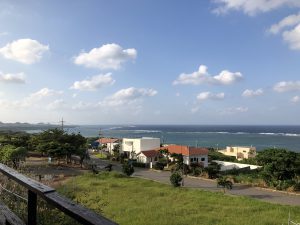 November 8, 2019 - (7) Ishigaki - Yonehara Palm Grove - 3 of 18