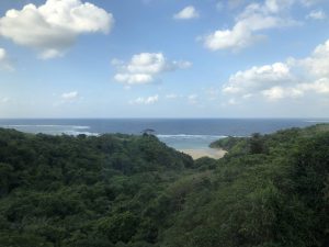 November 8, 2019 - (7) Ishigaki - Yonehara Palm Grove - 6 of 18