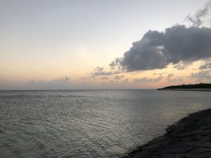 November 8, 2019 - (8) Ishigaki - ANA Resort Beach - 5 of 5