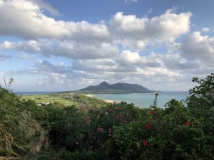 November 9, 2019 - (02) Ishigaki - Tamatorizaki Observation Platform - 12 of 19