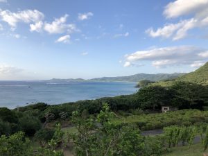 November 9, 2019 - (02) Ishigaki - Tamatorizaki Observation Platform - 16 of 19