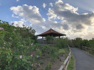November 9, 2019 - (02) Ishigaki - Tamatorizaki Observation Platform - 17 of 19
