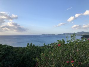 November 9, 2019 - (02) Ishigaki - Tamatorizaki Observation Platform - 2 of 19