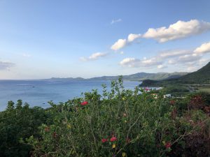 November 9, 2019 - (02) Ishigaki - Tamatorizaki Observation Platform - 3 of 19