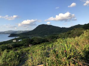 November 9, 2019 - (02) Ishigaki - Tamatorizaki Observation Platform - 6 of 19
