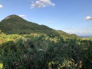 November 9, 2019 - (02) Ishigaki - Tamatorizaki Observation Platform - 7 of 19