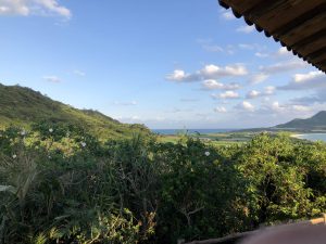 November 9, 2019 - (02) Ishigaki - Tamatorizaki Observation Platform - 8 of 19