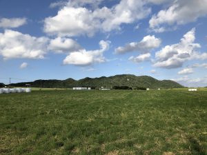 November 9, 2019 - (03) Ishigaki - On the Way - 1 of 1