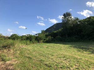 November 9, 2019 - (05) Ishigaki - On the Way - 2 of 2