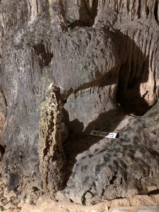 November 9, 2019 - (06) Ishigaki - Sabichi Stalactite Cave - 10 of 42