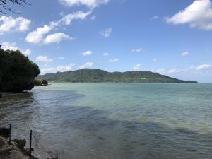 November 9, 2019 - (06) Ishigaki - Sabichi Stalactite Cave - 18 of 42
