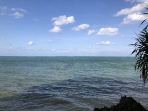November 9, 2019 - (06) Ishigaki - Sabichi Stalactite Cave - 19 of 42