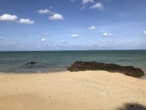 November 9, 2019 - (06) Ishigaki - Sabichi Stalactite Cave - 27 of 42