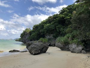 November 9, 2019 - (06) Ishigaki - Sabichi Stalactite Cave - 29 of 42