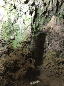 November 9, 2019 - (06) Ishigaki - Sabichi Stalactite Cave - 3 of 42