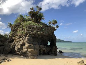 November 9, 2019 - (06) Ishigaki - Sabichi Stalactite Cave - 33 of 42