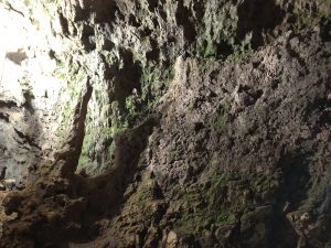 November 9, 2019 - (06) Ishigaki - Sabichi Stalactite Cave - 37 of 42