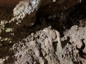 November 9, 2019 - (06) Ishigaki - Sabichi Stalactite Cave - 38 of 42