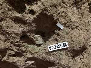 November 9, 2019 - (06) Ishigaki - Sabichi Stalactite Cave - 42 of 42