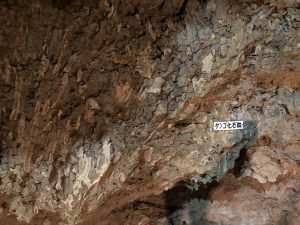 November 9, 2019 - (06) Ishigaki - Sabichi Stalactite Cave - 5 of 42