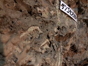 November 9, 2019 - (06) Ishigaki - Sabichi Stalactite Cave - 6 of 42