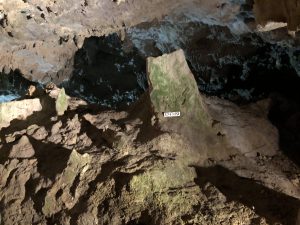 November 9, 2019 - (06) Ishigaki - Sabichi Stalactite Cave - 8 of 42