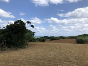 November 9, 2019 - (08) Ishigaki - Hirakubozaki - 1 of 29