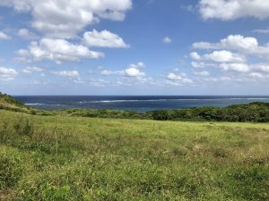 November 9, 2019 - (08) Ishigaki - Hirakubozaki - 2 of 29