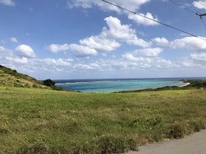 November 9, 2019 - (08) Ishigaki - Hirakubozaki - 28 of 29