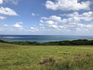 November 9, 2019 - (08) Ishigaki - Hirakubozaki - 3 of 29