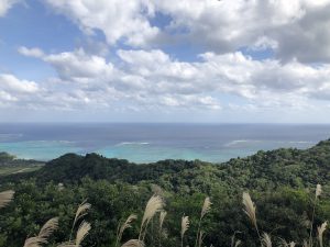 November 9, 2019 - (11) Ishigaki - Nosoko Mape - 2 of 6