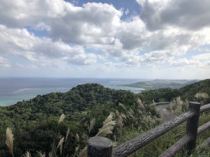 November 9, 2019 - (11) Ishigaki - Nosoko Mape - 3 of 6