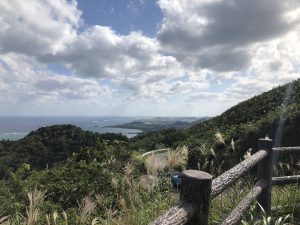 November 9, 2019 - (11) Ishigaki - Nosoko Mape - 5 of 6