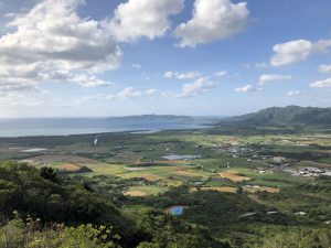 November 9, 2019 - (13) Ishigaki - South Island Observation Platform - 5 of 8