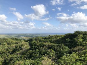 November 9, 2019 - (13) Ishigaki - South Island Observation Platform - 7 of 8