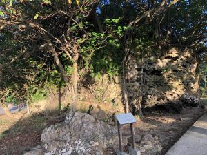 November 9, 2019 - (17) Ishigaki - Tsunami Uhuishi - 1 of 4