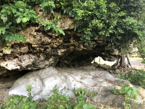 November 9, 2019 - (17) Ishigaki - Tsunami Uhuishi - 3 of 4